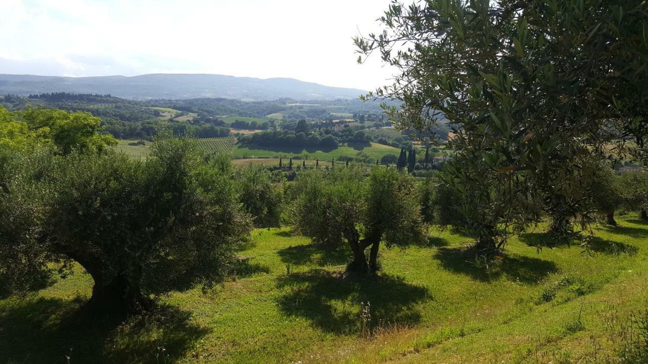 Montevenere 83 Villa Chiusi Eksteriør bilde